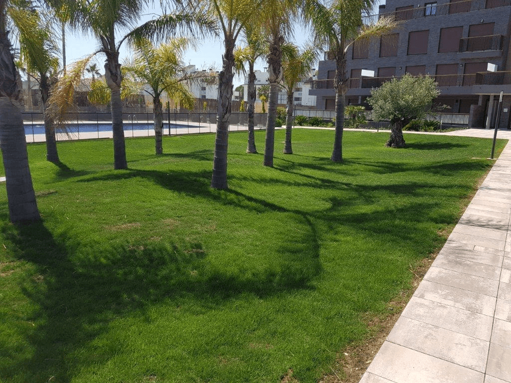 Penthouse de lujo 3 habitaciones a pocos metros de la playa de Denia